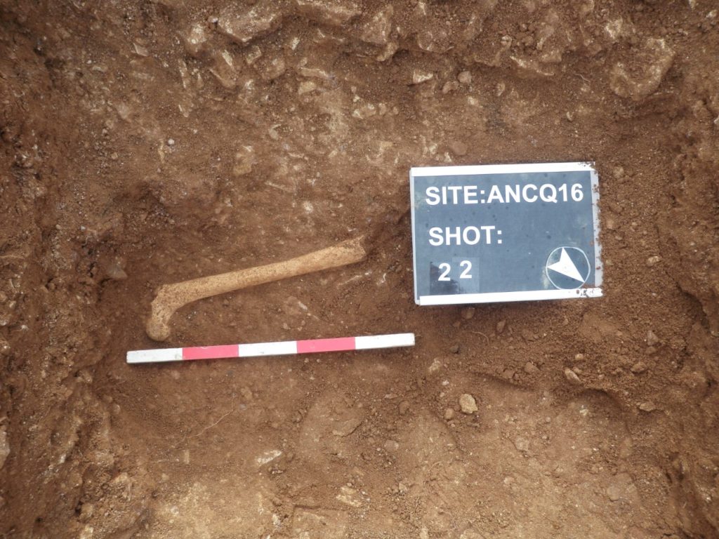 Ancaster quarry archaeological excavation